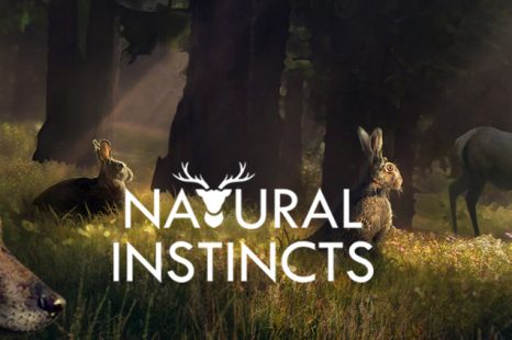 Natural Instincts by Dreamstorm Studios