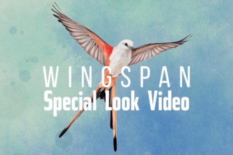 Wingspan Special Look Video